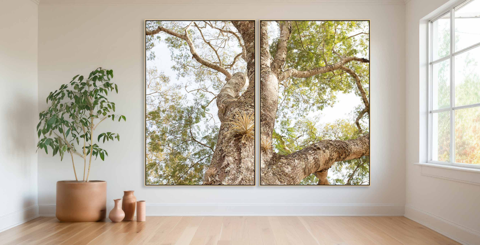 Quadro Arvores CASA-ESSENZIALE - Imagem: 150993